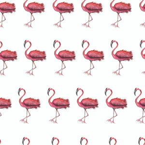 白色背景上的水彩无缝图案。 粉红色火烈鸟的插图。 热带鸟类。 包装墙纸织物的paradise.vector.summer装饰印花