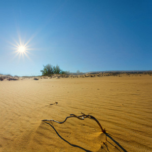 阳光照耀下干燥炎热的沙漠