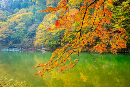 秋季日本京都，美丽的山河，有枫叶树和船绕湖而行