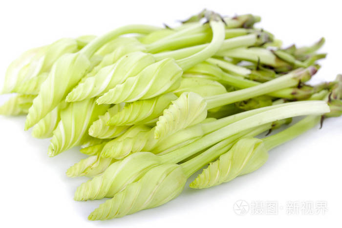 月花ipomoeaalbal分离在白色背景上