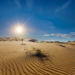 炎热的沙质沙漠，在闪耀的夏日阳光下