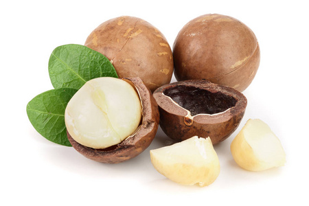 unshelled 澳洲坚果在白色背景下分离照片