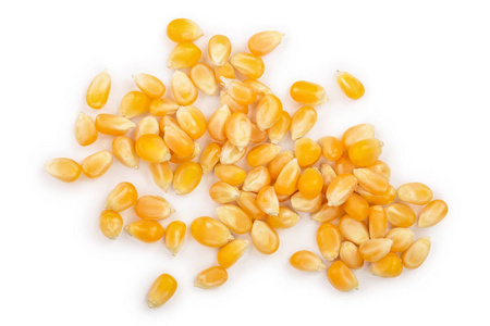 新鲜的玉米种子图片