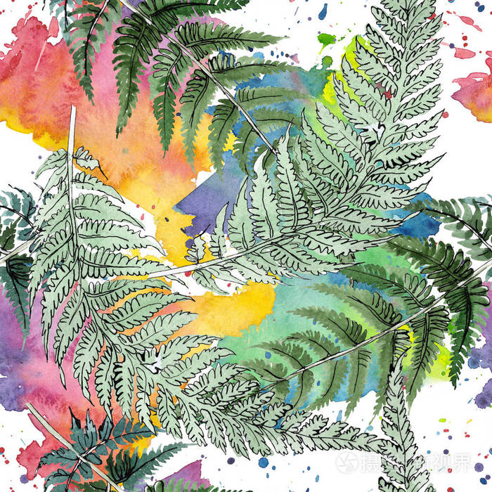 蕨类植物绿叶.植物植物花卉叶子.水彩背景插图集.无缝的背景模式