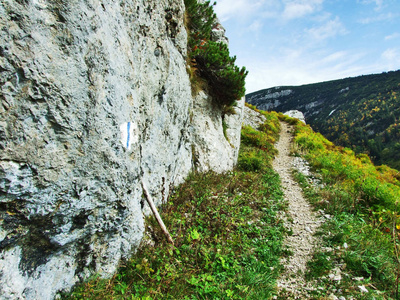 瑞士圣加伦州Alpstein山区的石块