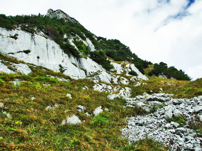 瑞士圣加伦州Alpstein山区的石块