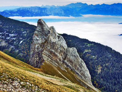 瑞士圣加伦州阿尔泼斯坦山区的石块