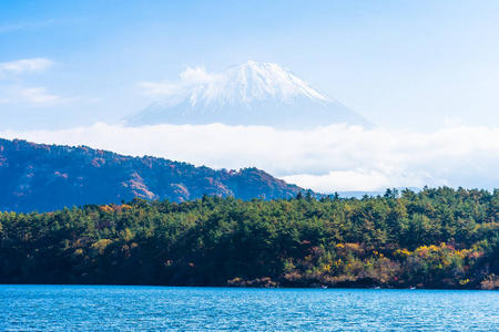 日本秋季环湖枫叶树的富士山美景