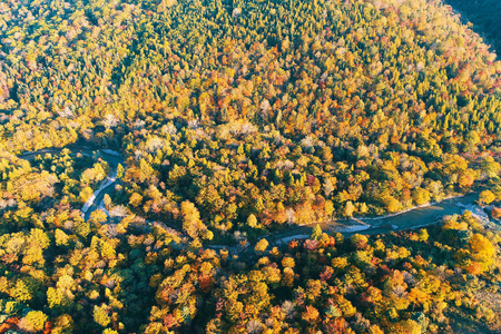 s eye view shows the autumn scenery of diverse colorful leaves i