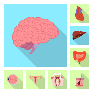 身体和人类标志的矢量插图。 一组身体和医疗矢量图标的股票。