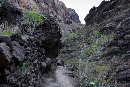 在马斯卡峡谷徒步旅行。火山岛。西班牙加那利岛特内里费岛的山脉