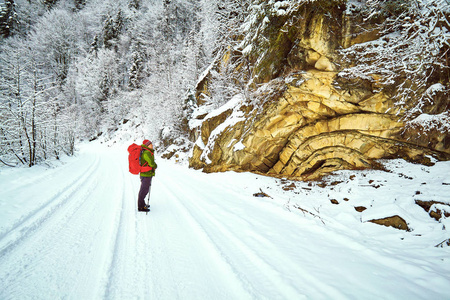 雪覆盖徒步旅行小径冬季森林