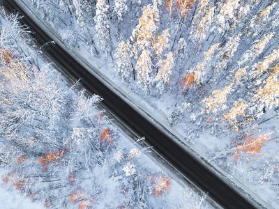 森林冬季道路上汽车的鸟瞰图。 冬季景观乡村。 空中摄影雪林与一辆汽车在路上。 用无人机从上面捕获。 空中照片。 汽车在运动