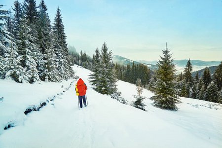 雪覆盖徒步旅行小径冬季森林