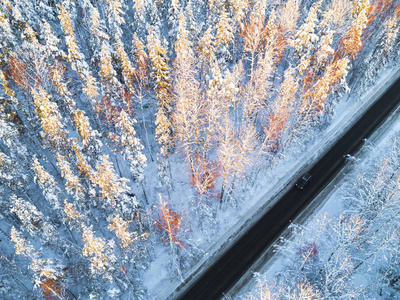 森林冬季道路上汽车的鸟瞰图。 冬季景观乡村。 空中摄影雪林与一辆汽车在路上。 用无人机从上面捕获。 空中照片。 汽车在运动