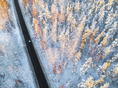 森林冬季道路上汽车的鸟瞰图。 冬季景观乡村。 空中摄影雪林与一辆汽车在路上。 用无人机从上面捕获。 空中照片。 汽车在运动