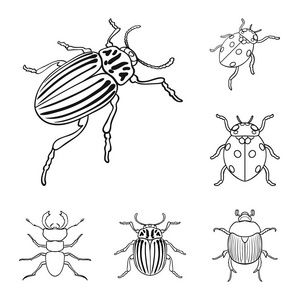 昆虫和甲虫图标的矢量设计。一套昆虫和万圣节股票符号的网络
