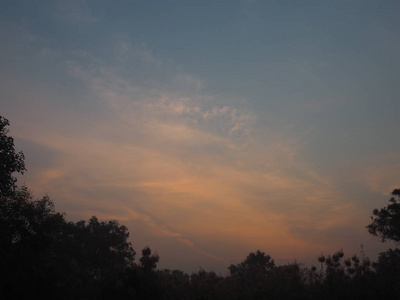 日出太阳升起太阳在灌木后面升起黑树背景