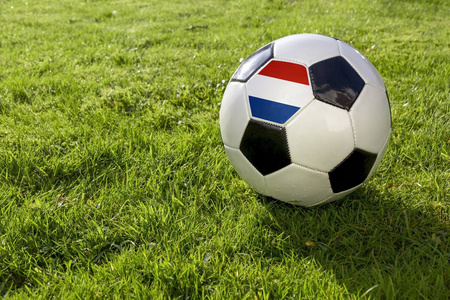 带荷兰国旗的草地球场上的足球图片