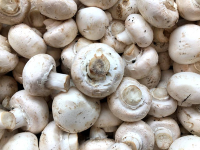 白色蘑菇. 在市场上出售. 天然水果天然维生素.照片