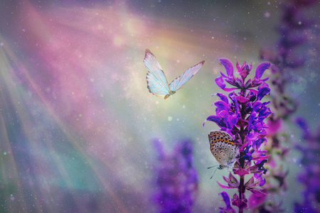 无缝模式与盛开的花朵和飞舞的蝴蝶在水彩风格.大自然的美.