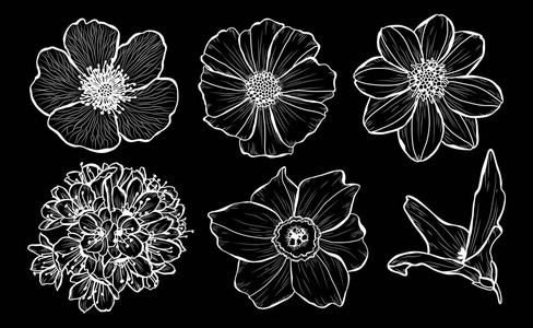 装饰花卉设置设计元素。 可用于卡片邀请横幅海报印刷设计。 线条艺术风格的花卉背景