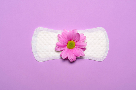 s Sanitary Pad and Gerbera Daisy Flower on Pink Background, Femi