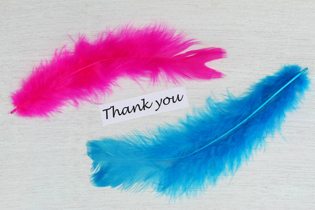 谢谢卡片上有粉红色和蓝色的羽毛