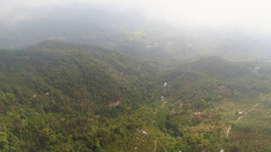 印度尼西亚巴厘岛山地景观农田和村庄