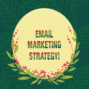 显示电子邮件营销策略的概念手写。商业照片展示了推广带有叶子和叶子的空白椭圆形形状的产品和服务的行动计划