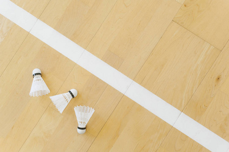 白色羽毛球梭子和线在大厅地板上的羽毛球场。