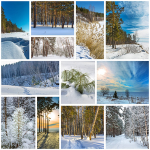 拼贴冬季景观。西伯利亚西部，新西伯利亚地区，俄罗斯