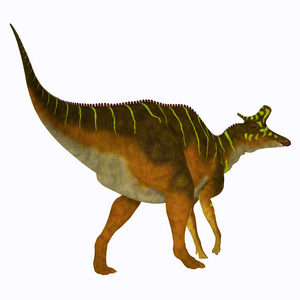 蓝斑龙是白垩纪生活在北美的一种食草性强龙恐龙。