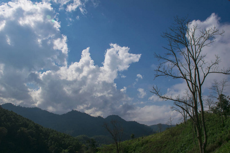在泰国umphang山的绿树上看到蓝天和云彩