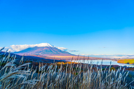 日本秋季稻子或山坂湖富士山的美丽景观