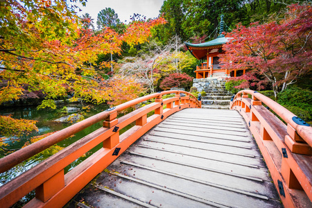 日本京都，秋季有五颜六色的树木和树叶的美丽的大宫寺