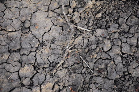 干燥土壤抽象背景。 干旱。 灰色的干土。 土壤背景。 开裂的土壤背景。 地球模式。 土壤质地。 破裂的地球。 自然背景。 美国科