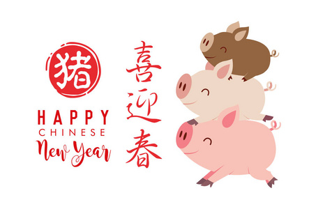 中国新年2019与可爱的小猪。 翻译新年快乐。