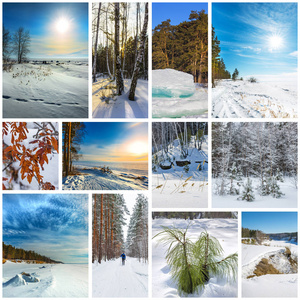 拼贴冬季景观。 西伯利亚西部新西伯利亚地区俄罗斯