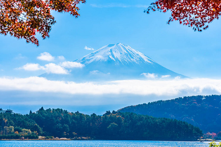 秋季环湖枫叶树的富士山美景图片