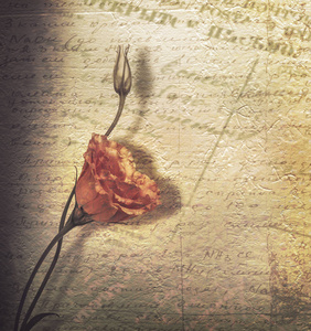 老式明信片邀请与一束美丽的玫瑰