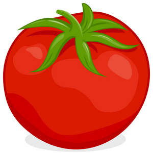 白色背景下成熟的新鲜番茄的矢量图。