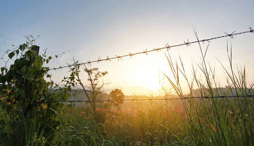 在带刺铁丝网的田野上日落。