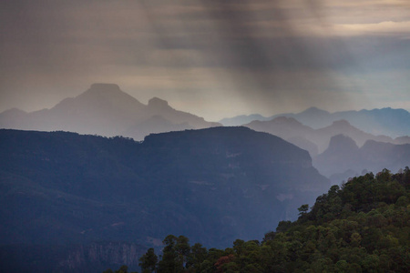 墨西哥雨季丛林和山区