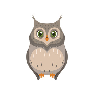 可爱的猫头鹰, 可爱的鸟卡通人物前视图向量例证照片