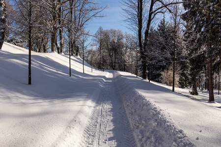 冬天的路延伸到远处，白雪覆盖了森林