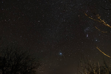 夜空星空。 很多星星。 复制空间