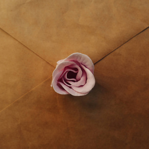 在蓝色背景上关闭一个旧的棕色信封粉红色玫瑰花。 最小平面布局