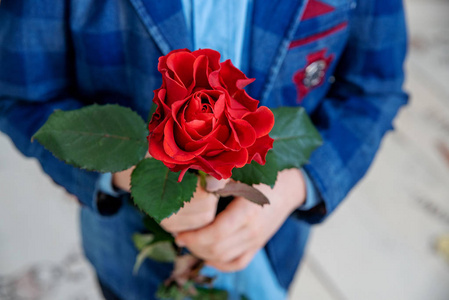 穿着西装的小男孩站在灯光背景下的红玫瑰上