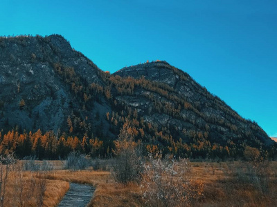 秋天的风景与山和树。木制小道